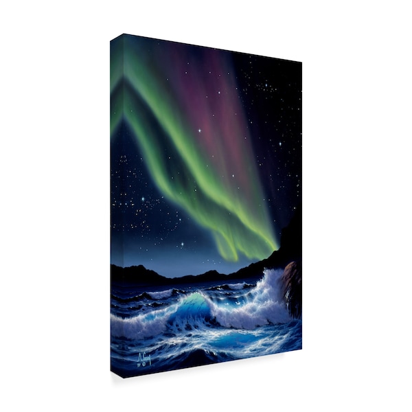 Anthony Casay 'Aurora Lights' Canvas Art,30x47